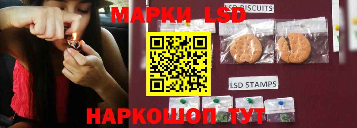 ЛСД экстази  Вход с VPN  Каменка  ЛСД экстази кислота  ЛСД экстази ecstasy 